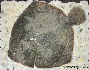 romboalforno