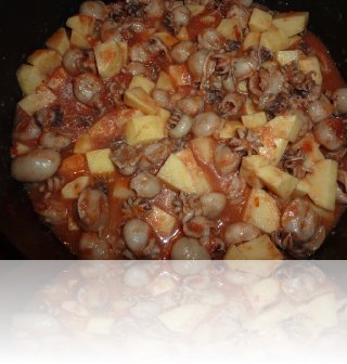seppiollinpadella