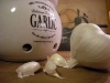 garlic_aglio