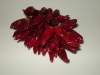 peperoncino