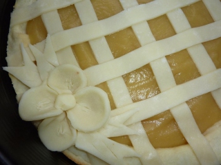 crostatacruda