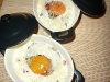 cocotteuova