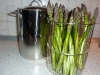 pentolaasparagi